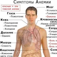 Anemia - symptoms and treatment Hypoplastic anemia, causes, diagnosis, treatment